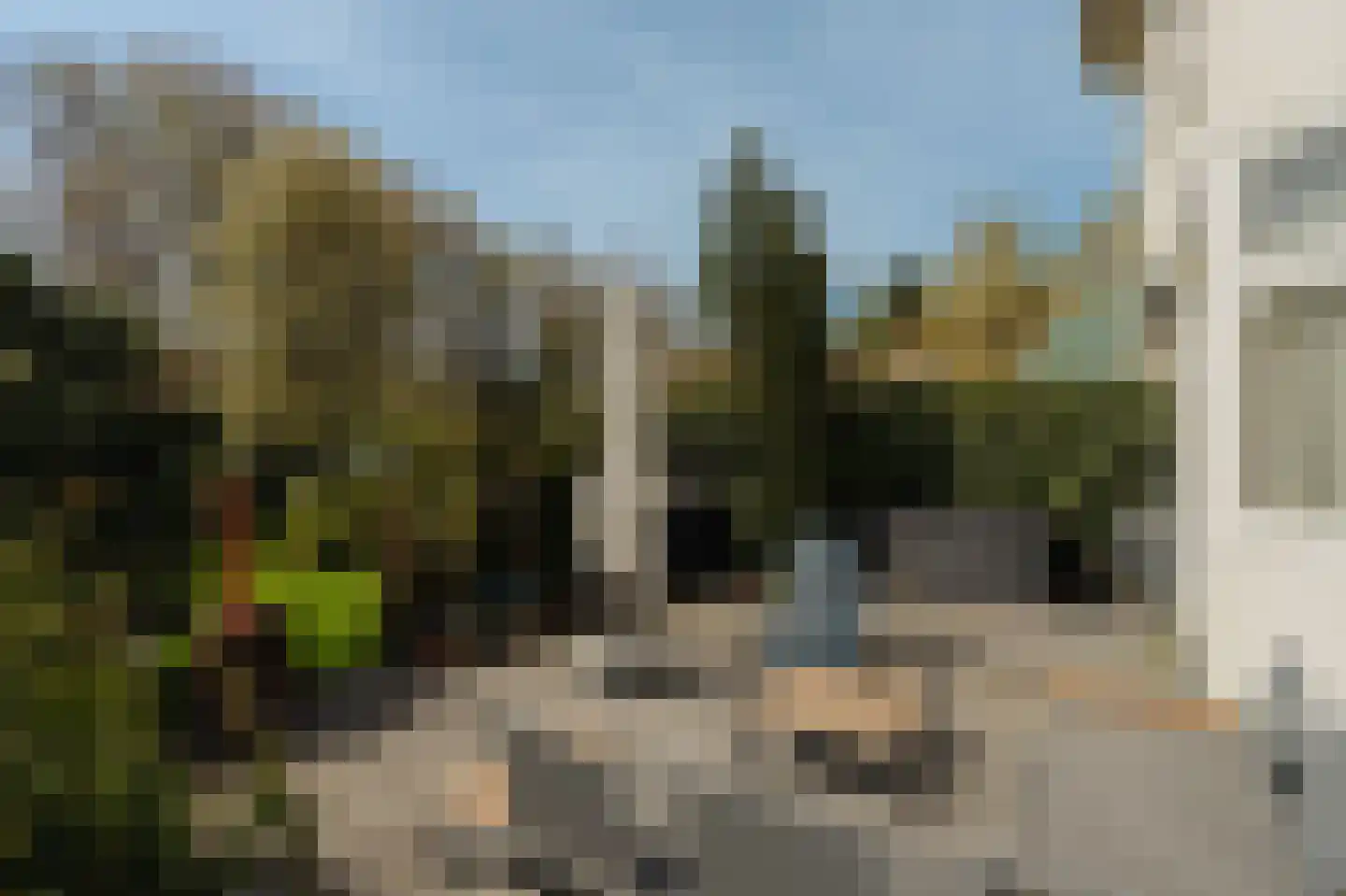Papegaaienlaan 17 Wassenaar thumbnail 20