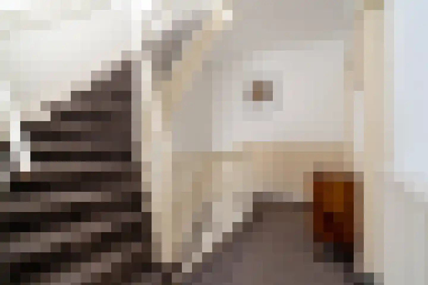 Papegaaienlaan 17 Wassenaar thumbnail 22