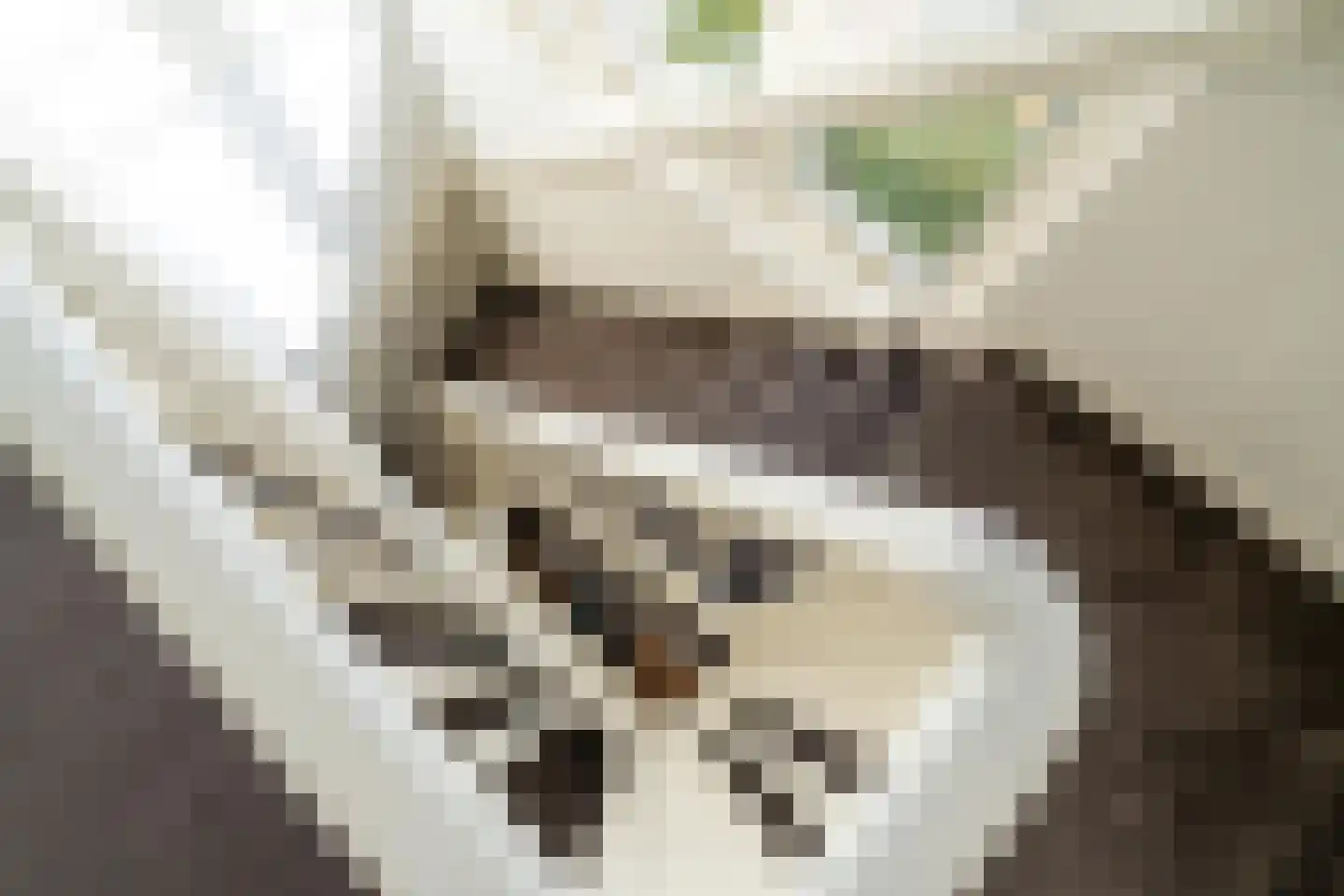 Papegaaienlaan 17 Wassenaar thumbnail 31