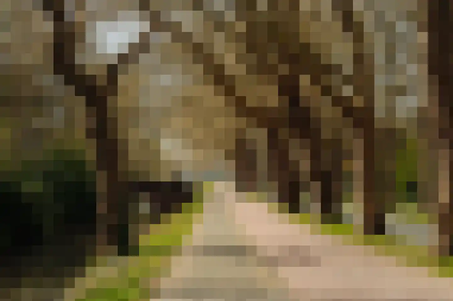 Papegaaienlaan 17 Wassenaar thumbnail 39