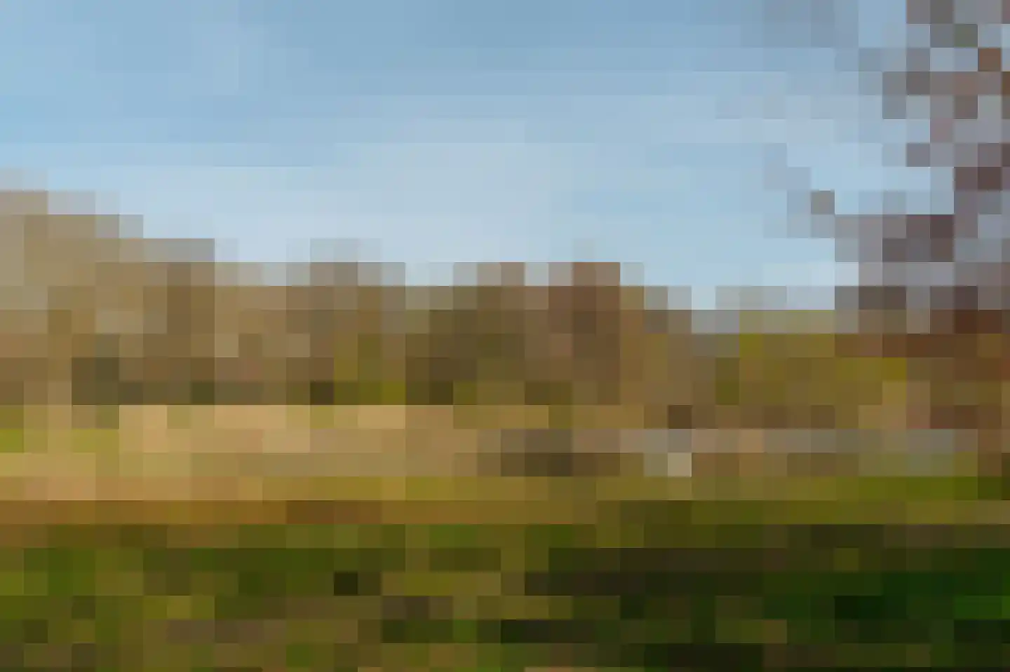 Papegaaienlaan 17 Wassenaar thumbnail 39