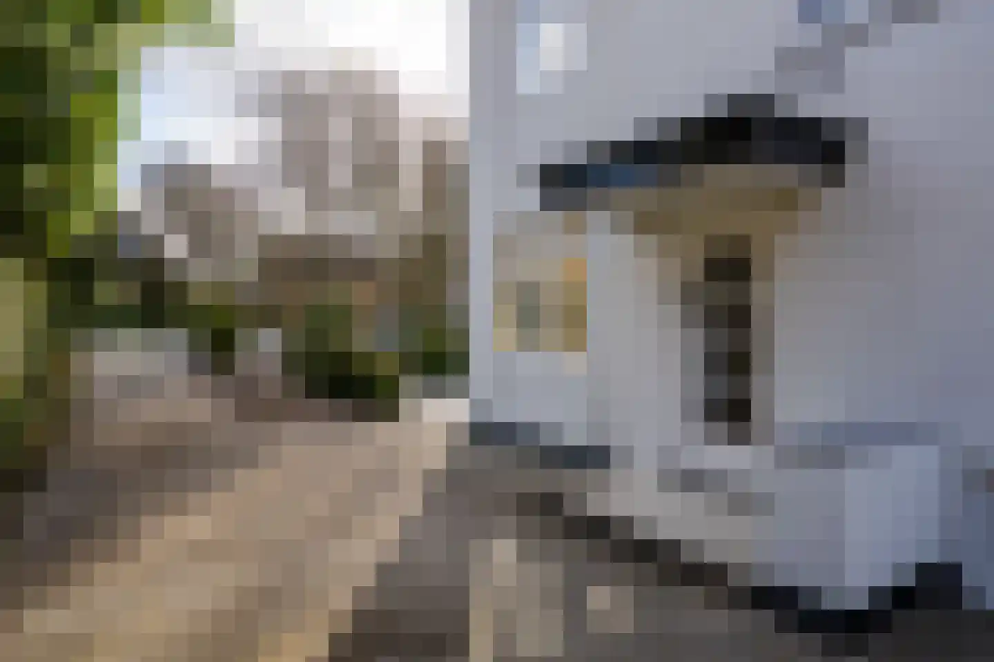 Papegaaienlaan 17 Wassenaar thumbnail 4