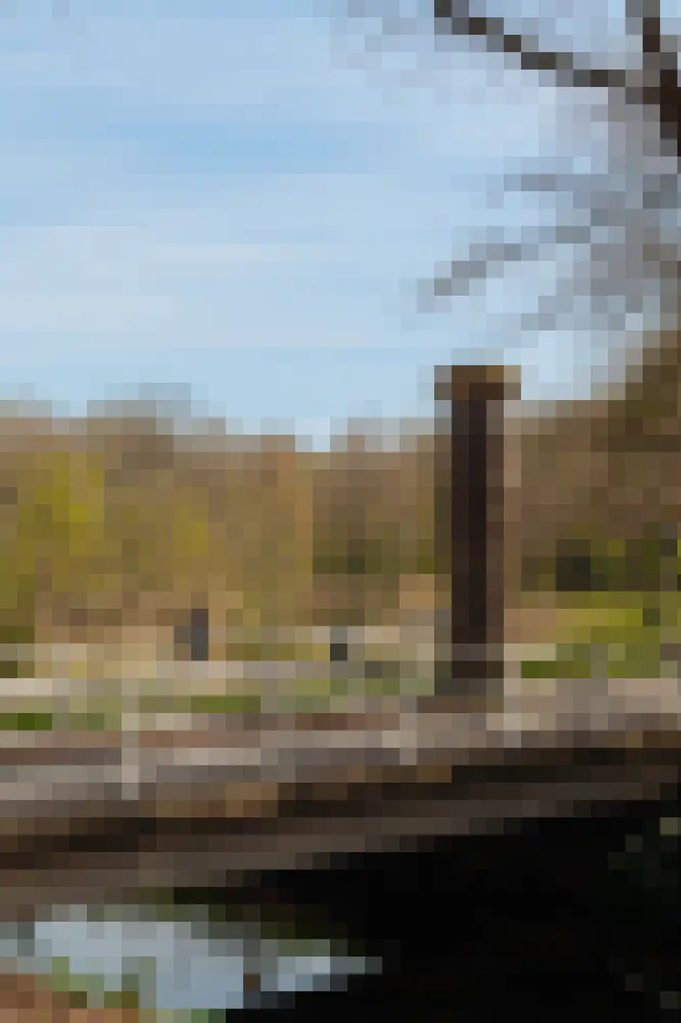 Papegaaienlaan 17 Wassenaar thumbnail 40