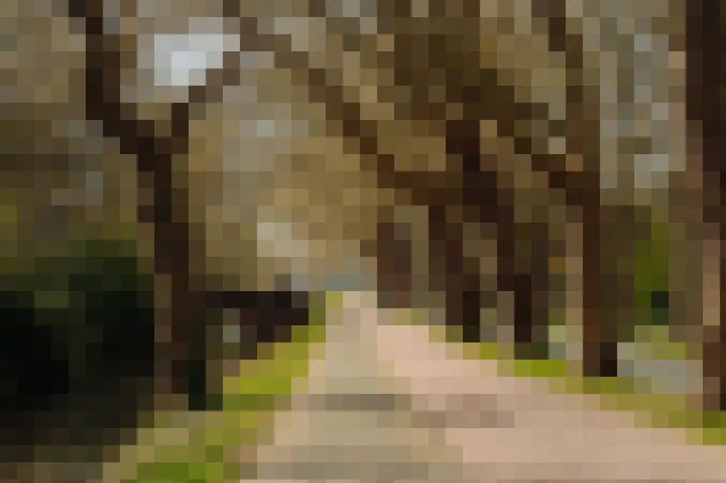 Papegaaienlaan 17 Wassenaar thumbnail 41