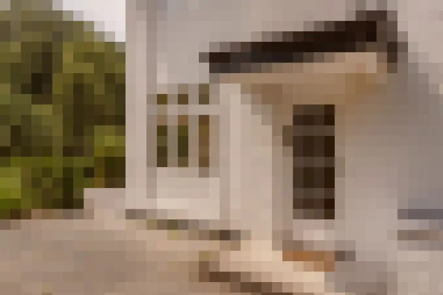 Papegaaienlaan 17 Wassenaar thumbnail 5
