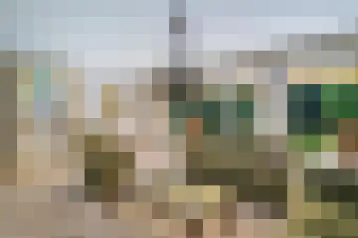 Papegaaienlaan 2 A Wassenaar thumbnail 17