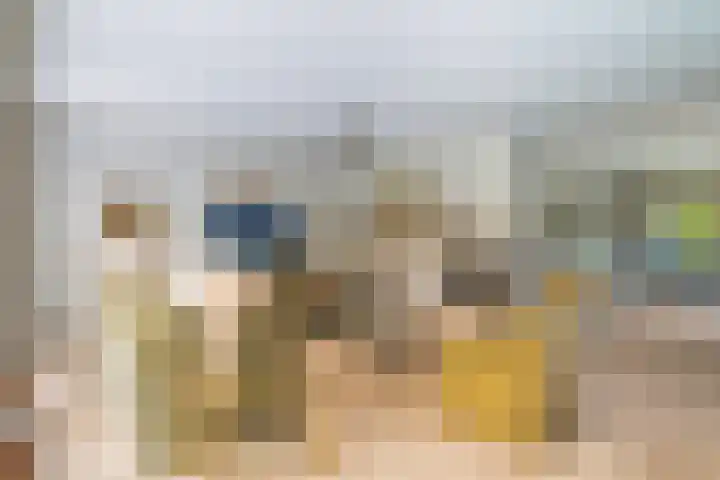 Papegaaienlaan 2 A Wassenaar thumbnail 19