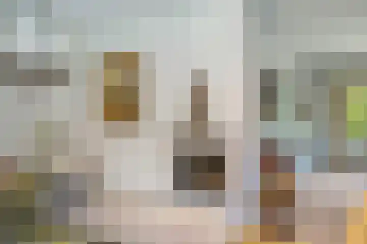 Papegaaienlaan 2 A Wassenaar thumbnail 21