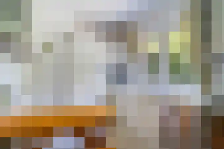 Papegaaienlaan 2 A Wassenaar thumbnail 22