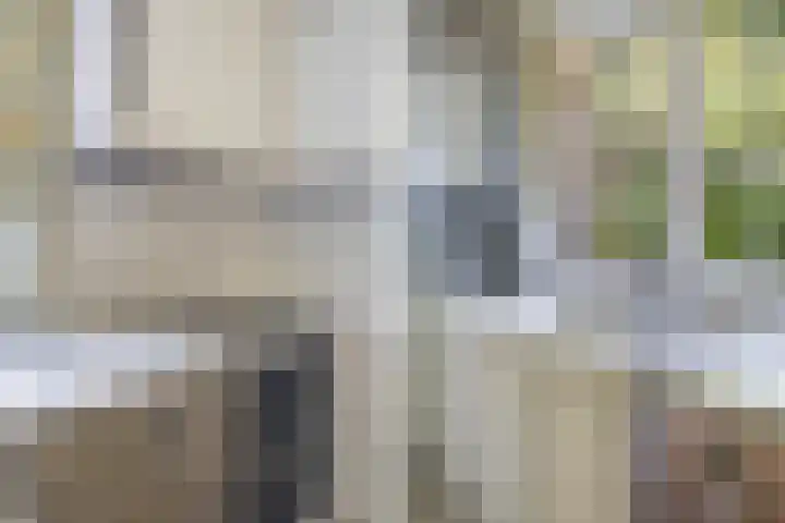 Papegaaienlaan 2 A Wassenaar thumbnail 23
