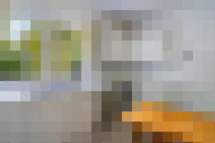 Papegaaienlaan 2 A Wassenaar thumbnail 24