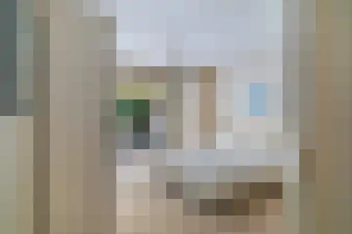Papegaaienlaan 2 A Wassenaar thumbnail 26