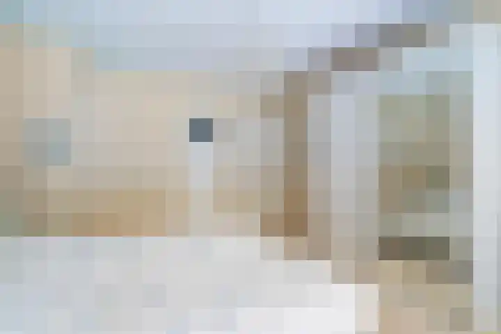 Papegaaienlaan 2 A Wassenaar thumbnail 28