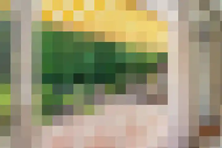 Papegaaienlaan 2 A Wassenaar thumbnail 31