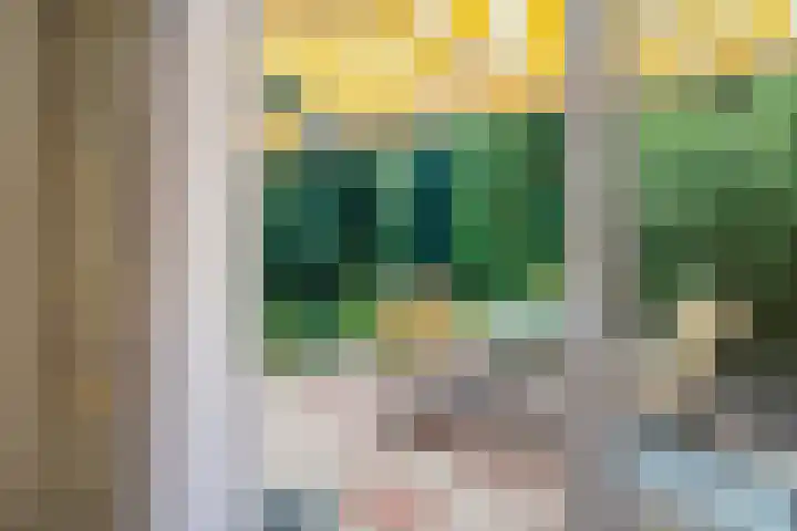 Papegaaienlaan 2 A Wassenaar thumbnail 32