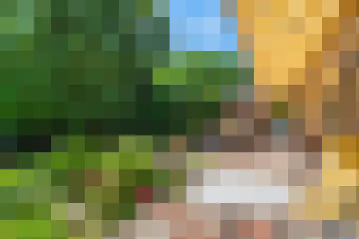 Papegaaienlaan 2 A Wassenaar thumbnail 33