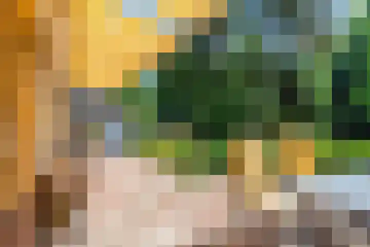 Papegaaienlaan 2 A Wassenaar thumbnail 34