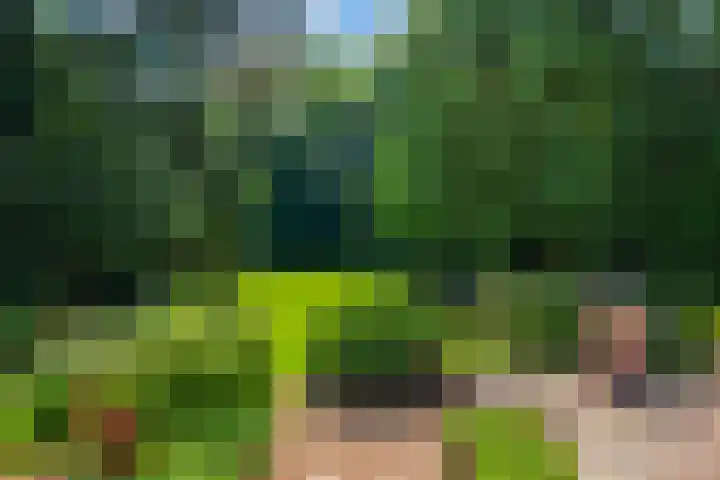 Papegaaienlaan 2 A Wassenaar thumbnail 36