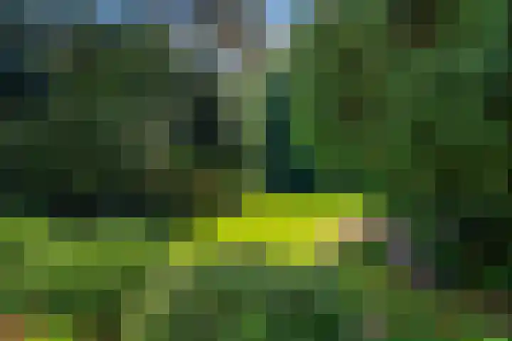 Papegaaienlaan 2 A Wassenaar thumbnail 37
