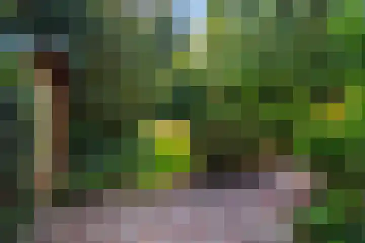 Papegaaienlaan 2 A Wassenaar thumbnail 38