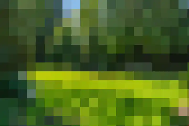Papegaaienlaan 2 A Wassenaar thumbnail 39