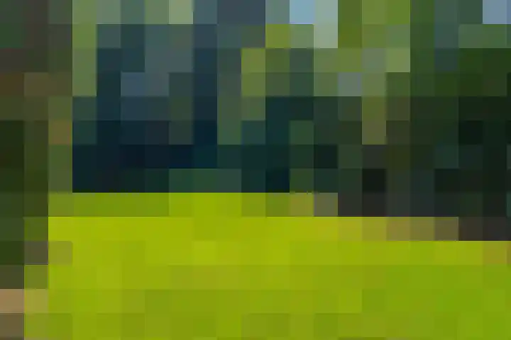 Papegaaienlaan 2 A Wassenaar thumbnail 40