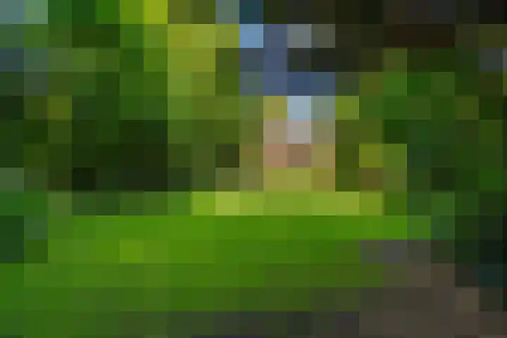 Papegaaienlaan 2 A Wassenaar thumbnail 42