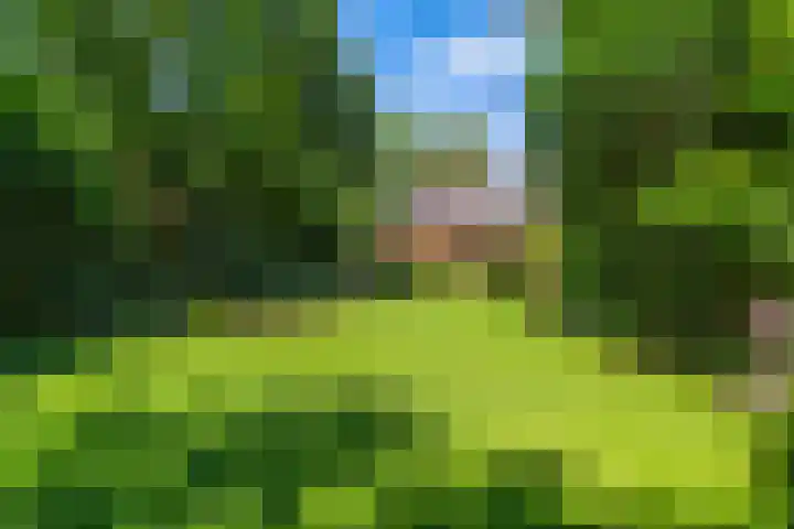 Papegaaienlaan 2 A Wassenaar thumbnail 43