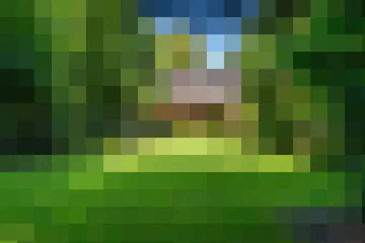 Papegaaienlaan 2 A Wassenaar thumbnail 44