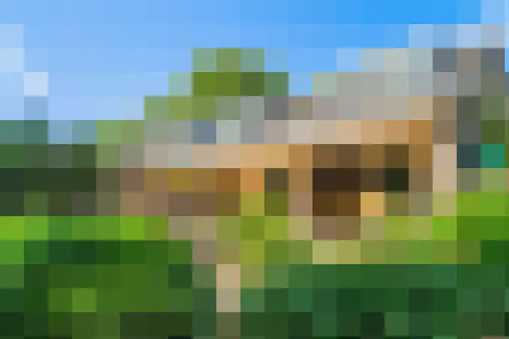 Papegaaienlaan 2 A Wassenaar thumbnail 47