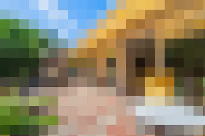 Papegaaienlaan 2 A Wassenaar thumbnail 48