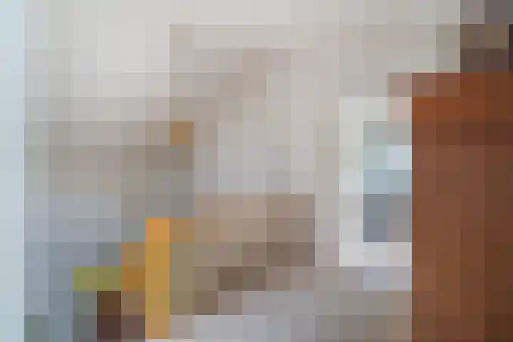 Papegaaienlaan 2 A Wassenaar thumbnail 49