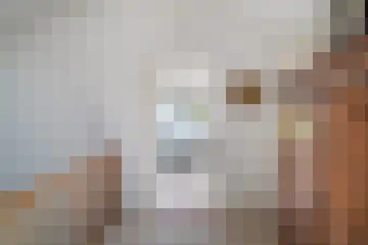 Papegaaienlaan 2 A Wassenaar thumbnail 50