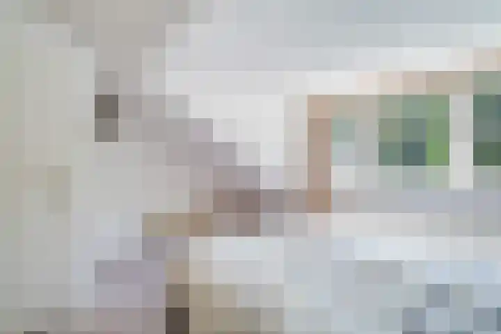 Papegaaienlaan 2 A Wassenaar thumbnail 54