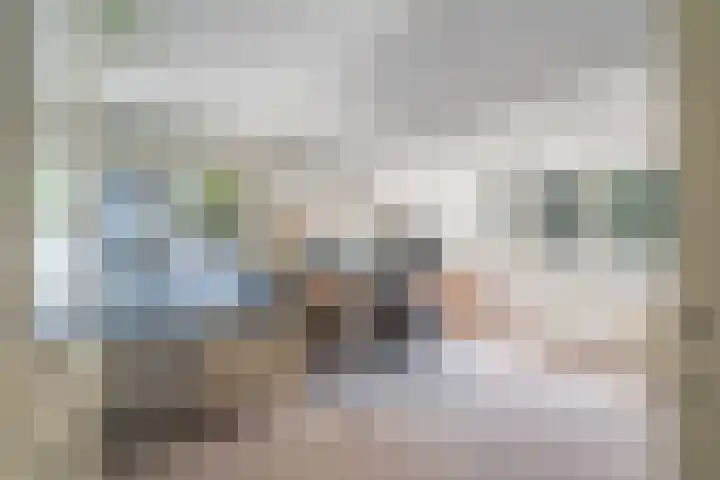 Papegaaienlaan 2 A Wassenaar thumbnail 57