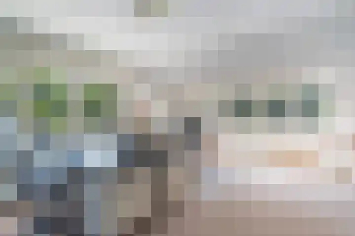 Papegaaienlaan 2 A Wassenaar thumbnail 58