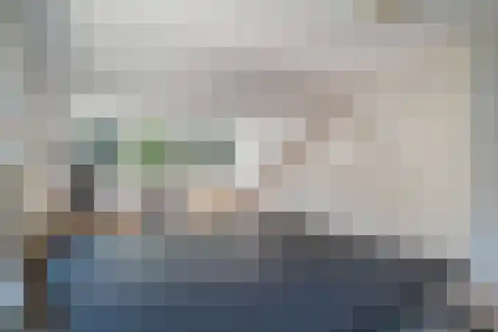 Papegaaienlaan 2 A Wassenaar thumbnail 59