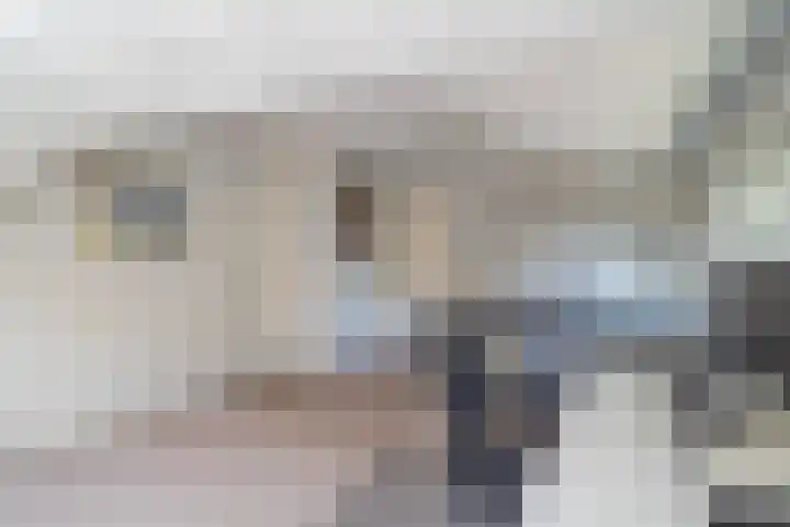 Papegaaienlaan 2 A Wassenaar thumbnail 60