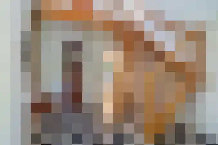 Papegaaienlaan 2 A Wassenaar thumbnail 7