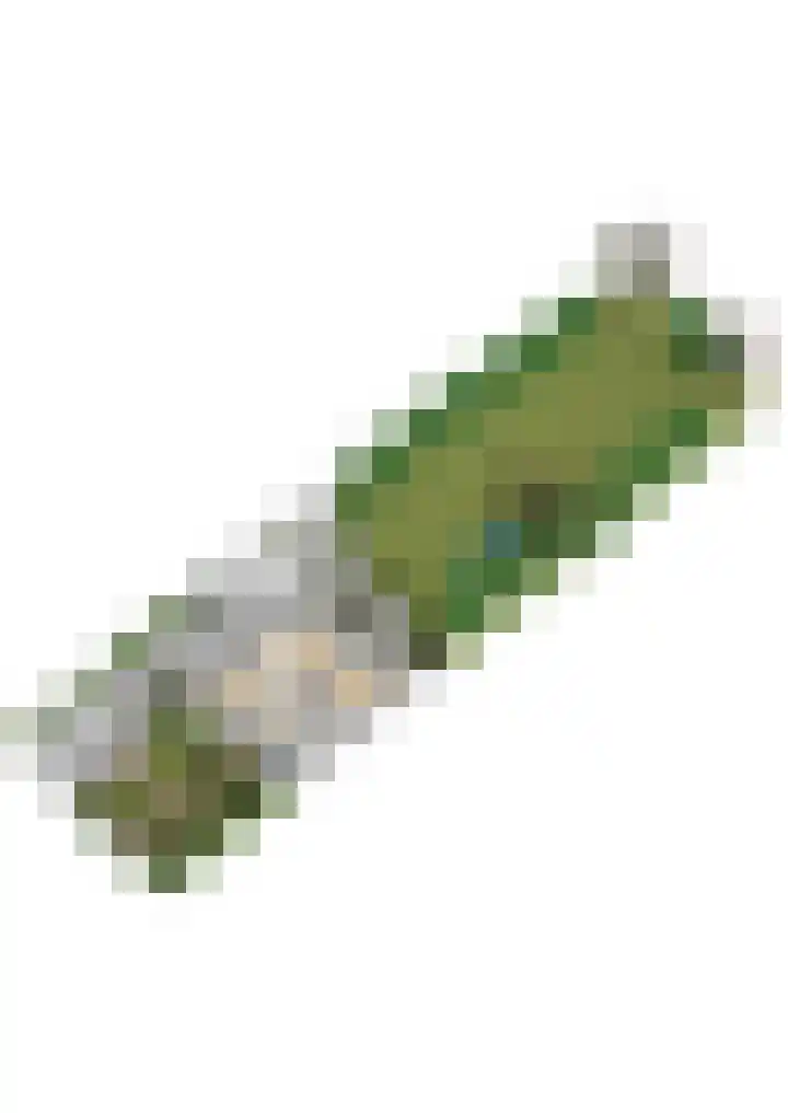 Papegaaienlaan 2 A Wassenaar thumbnail 72