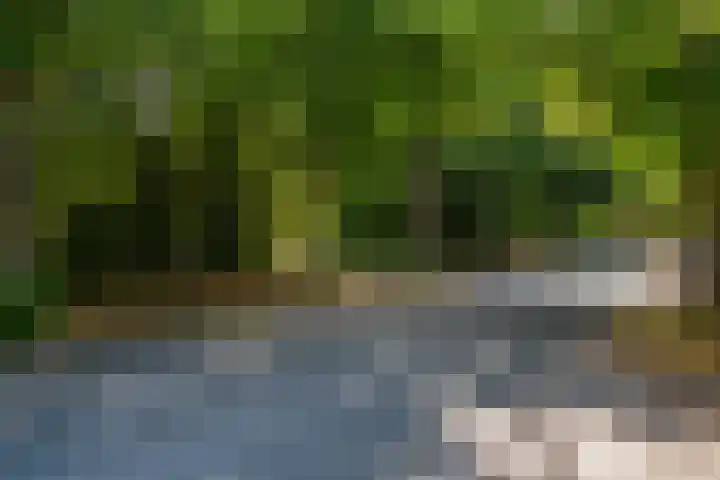 Papegaaienlaan 2 A Wassenaar thumbnail 73