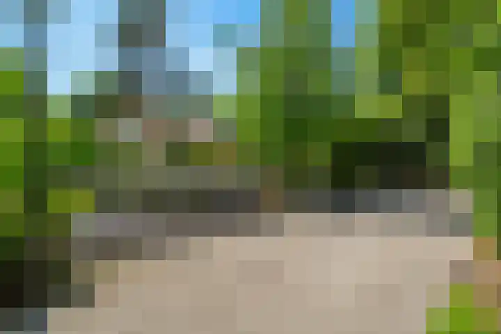 Papegaaienlaan 2 A Wassenaar thumbnail 75