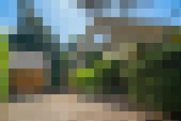 Papegaaienlaan 2 A Wassenaar thumbnail 76