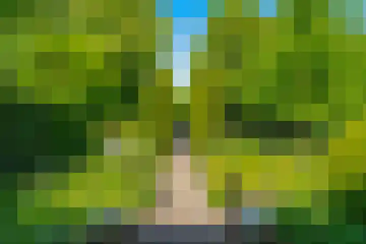Papegaaienlaan 2 A Wassenaar thumbnail 77