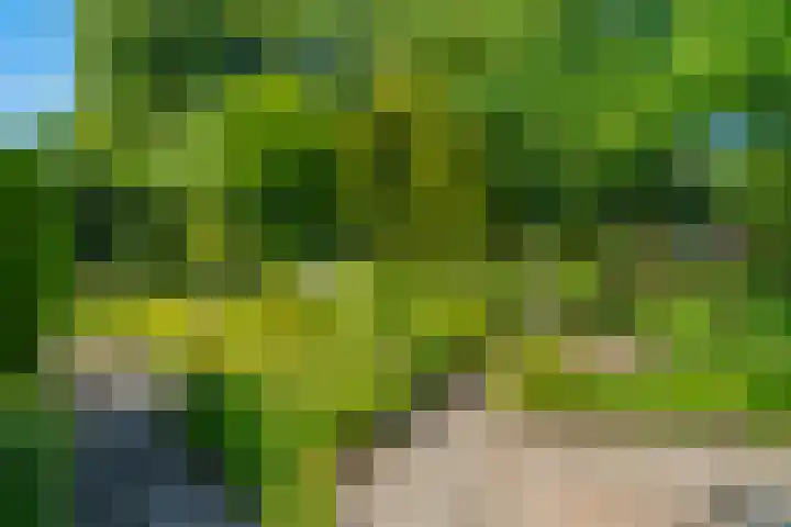 Papegaaienlaan 2 A Wassenaar thumbnail 78