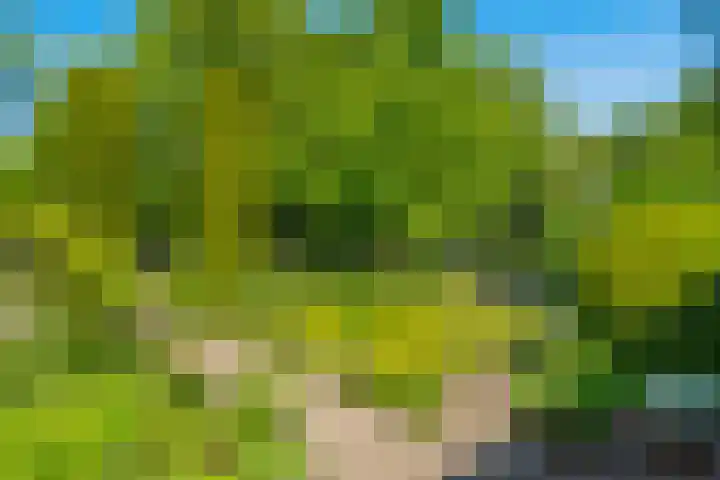 Papegaaienlaan 2 A Wassenaar thumbnail 79