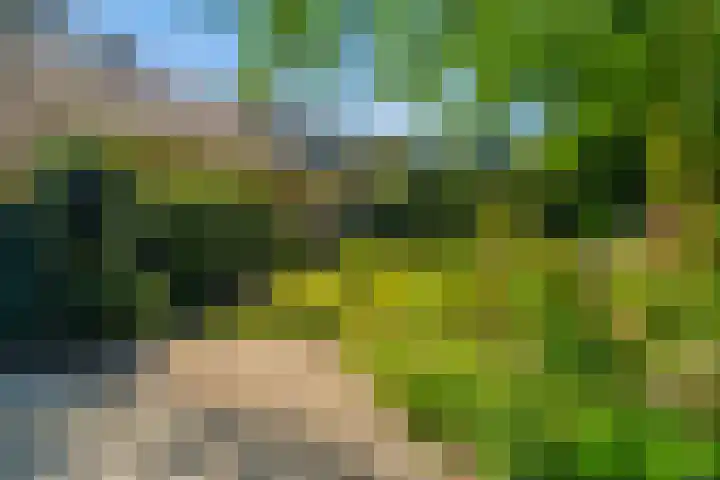 Papegaaienlaan 2 A Wassenaar thumbnail 80