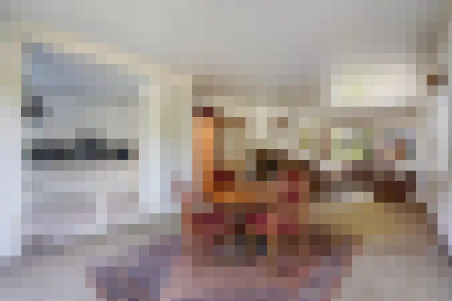 Papegaailaan 21 Den Haag thumbnail 10