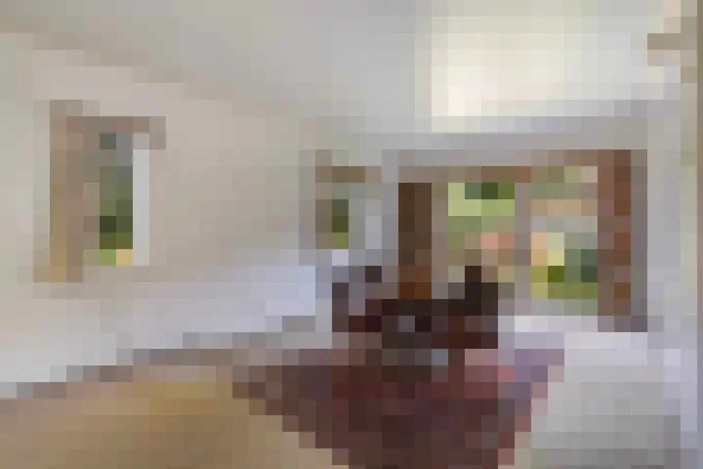 Papegaailaan 21 Den Haag thumbnail 11