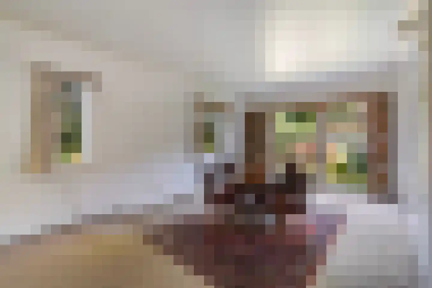Papegaailaan 21 Den Haag thumbnail 11